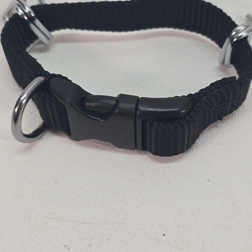 Coastal Titan Easy-On Dog Prong Training Collar with Buckle 14